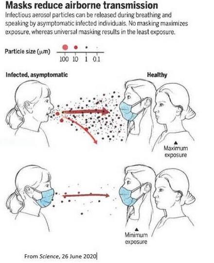 using a mask can prevent COVID-19 infections